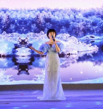 图示, 示意图

中度可信度描述已自动生成:ver1